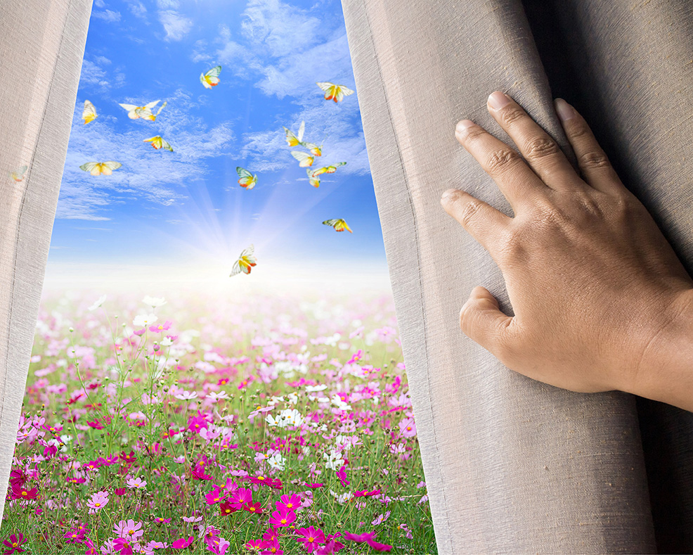 Butterflies outside the window representing counseling for life transitions in Columbia, MD